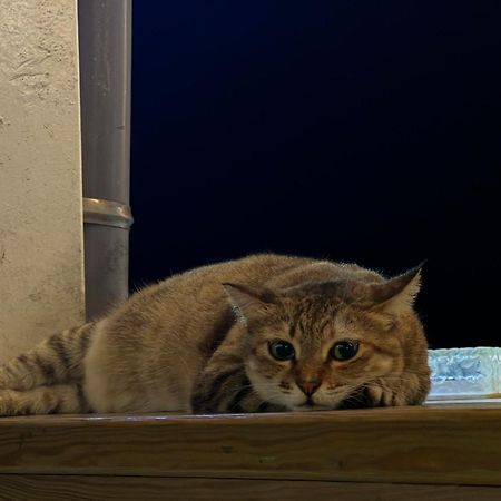 Good Hostel 好棧 Green Island エクステリア 写真