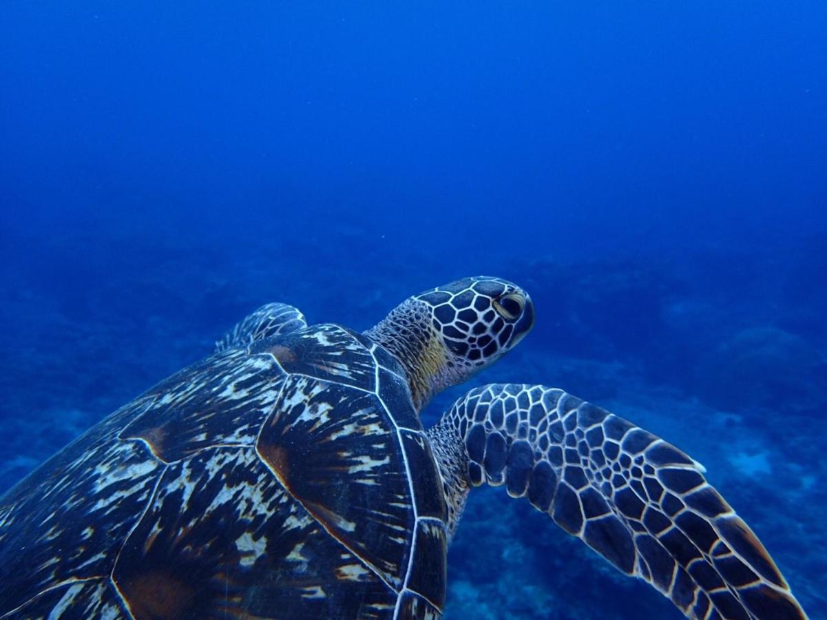 Good Hostel 好棧 Green Island エクステリア 写真